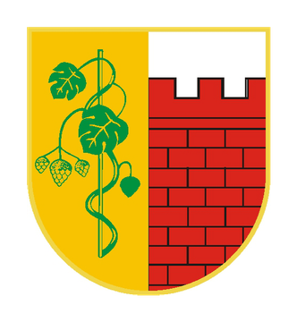 Herb Witnicy